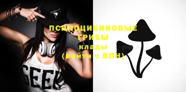 твердый Алексин