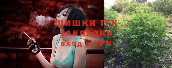 твердый Алексин