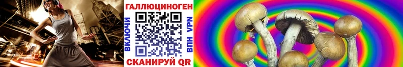 Псилоцибиновые грибы Magic Shrooms  Амурск 