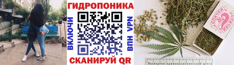 Бошки Шишки конопля Амурск
